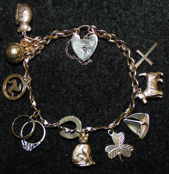 9ct gold charm bracelet